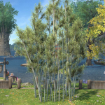 Bamboo Copse