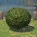 Rounded Shrub