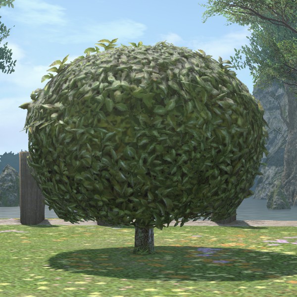 Rounded Shrub