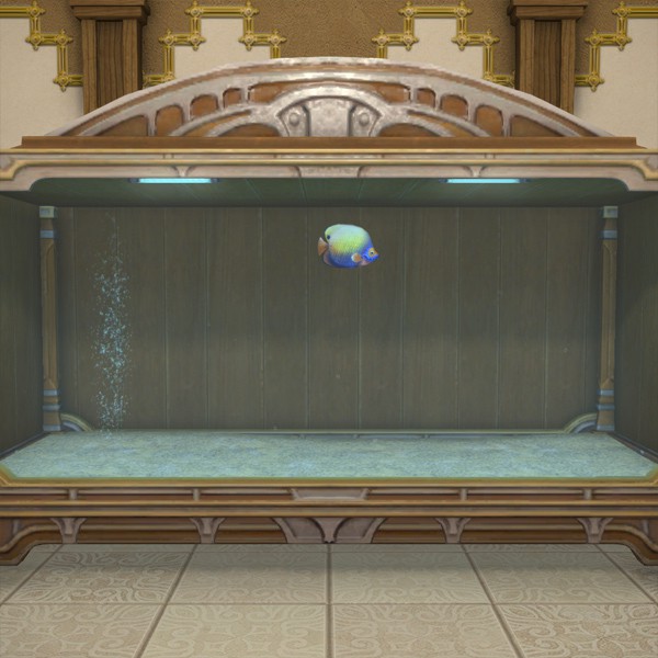 Angelfish