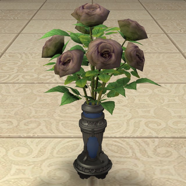 Black Oldroses