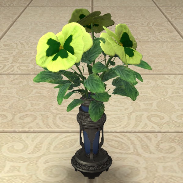 Green Violas