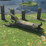 Fallen Tree