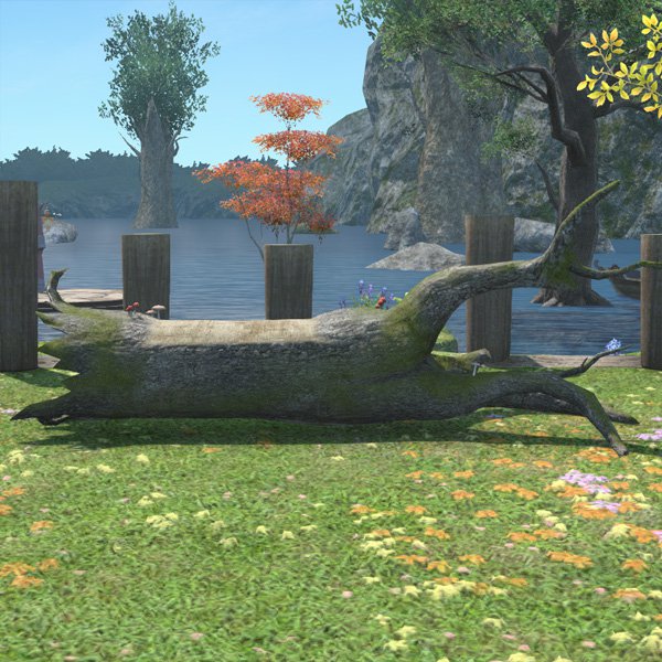 Fallen Tree