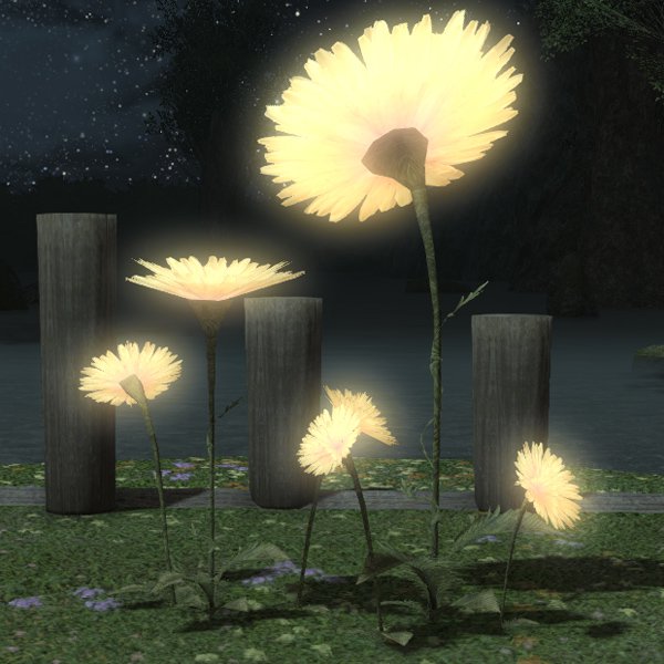 Dandelion Garden Patch